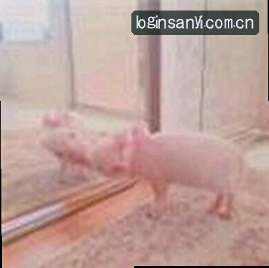 王磊